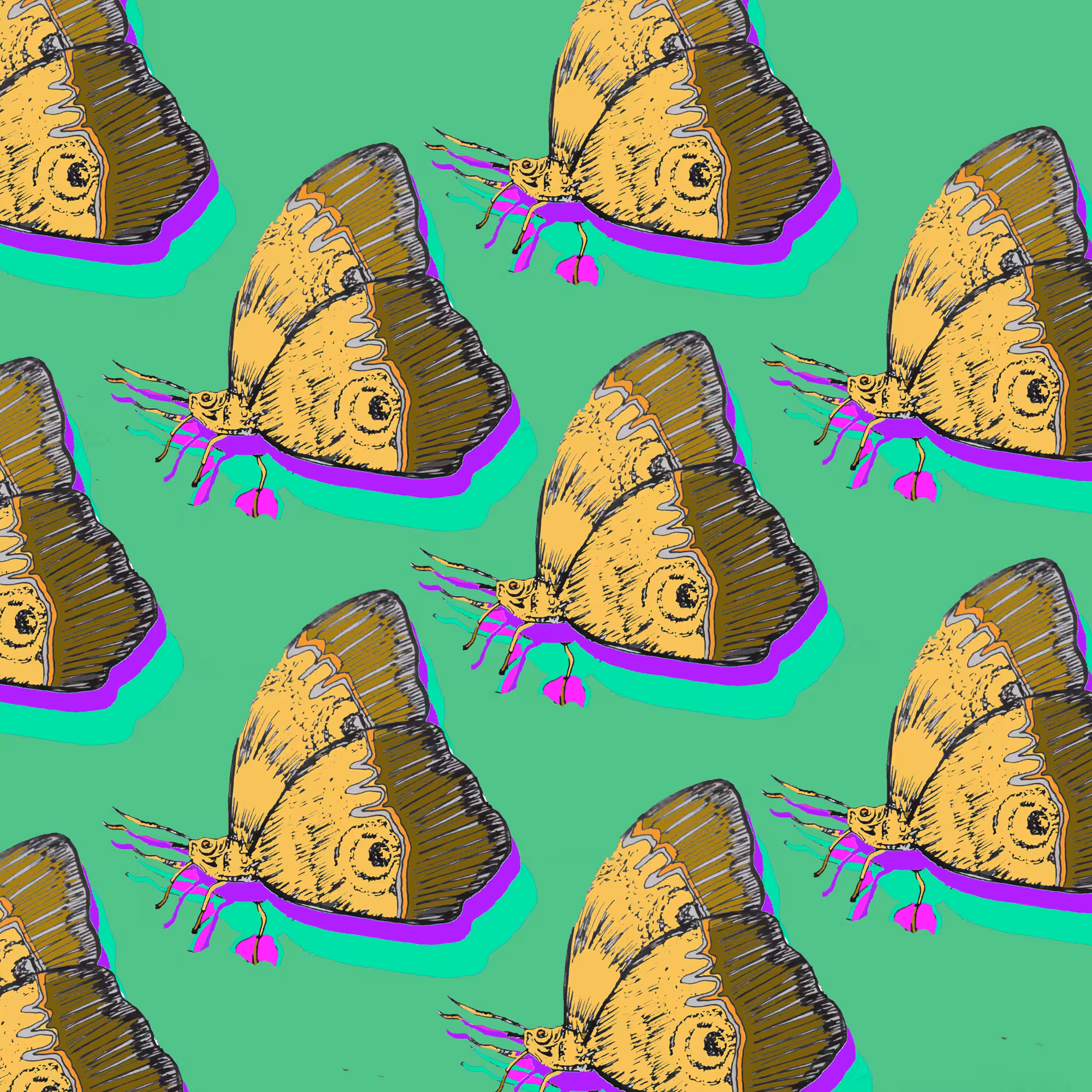 𝔟𝔬𝔯𝔟𝔬𝔩𝔢𝔱𝔞