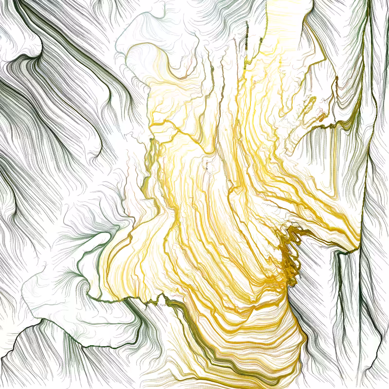 Hypericum #125