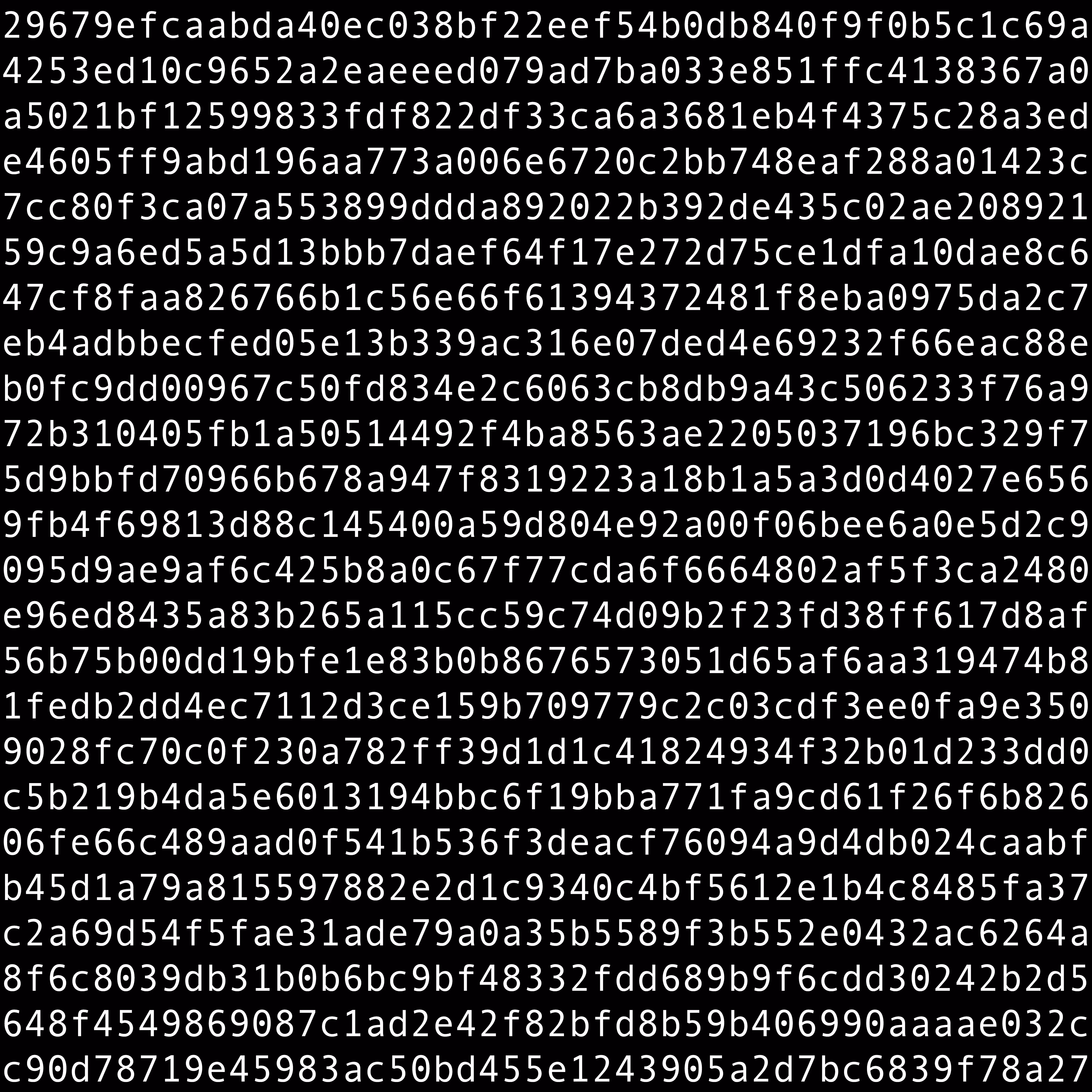 1111 #0164