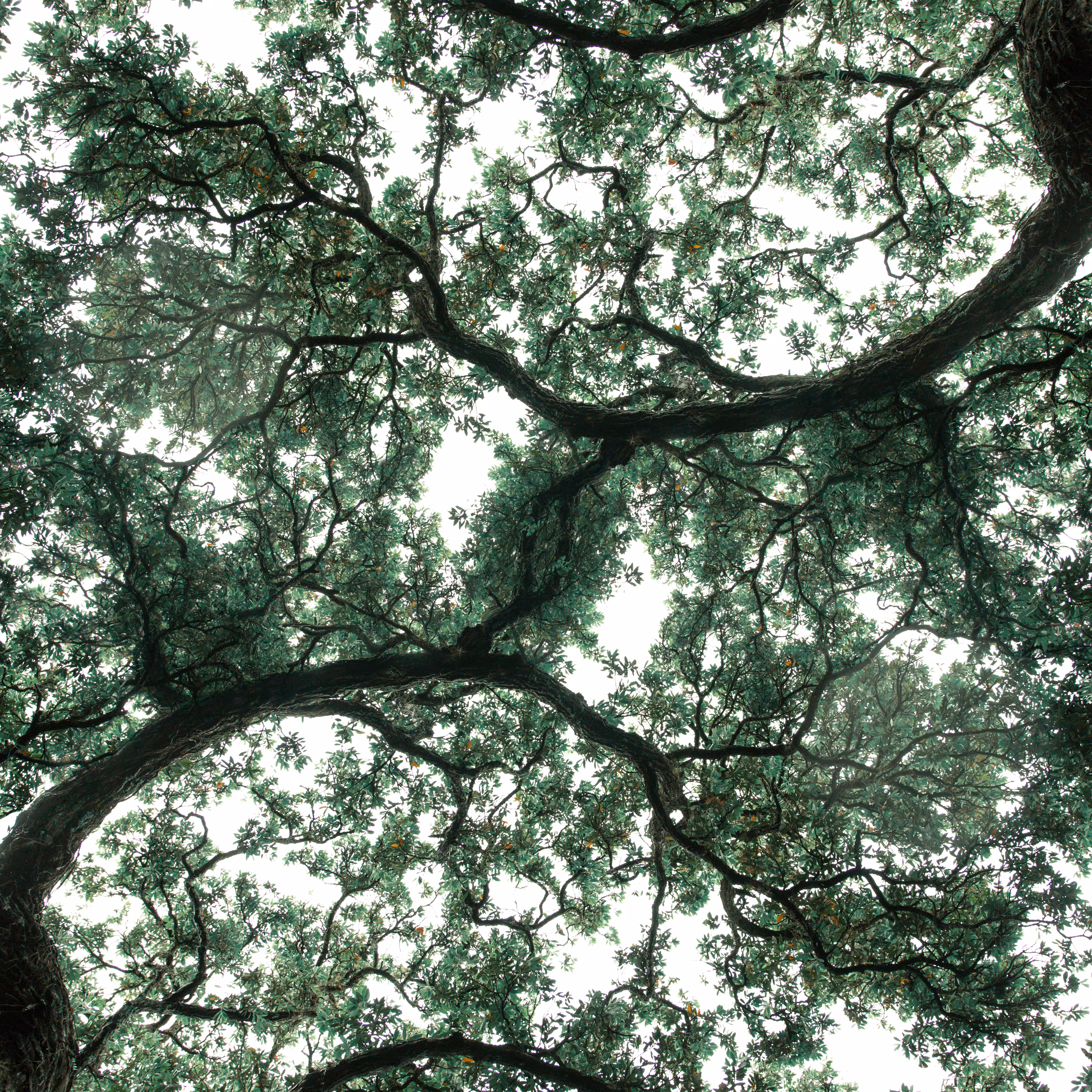 spiegelt | reflected