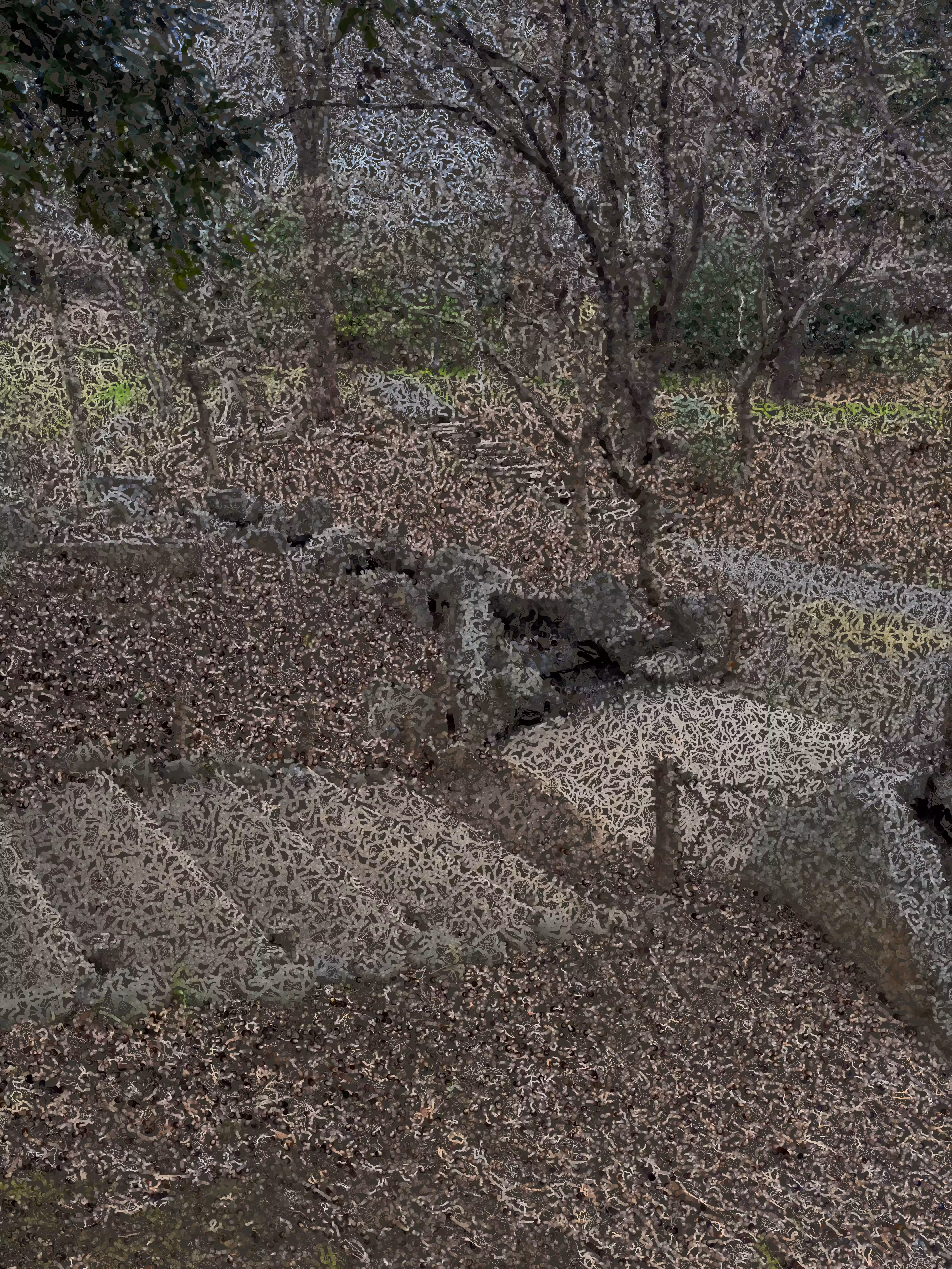 Old Path