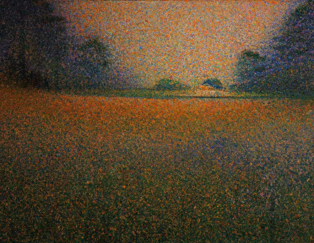 Meadow