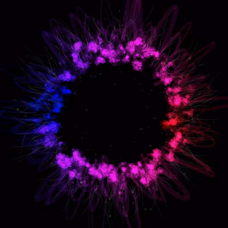 Ring Nebula #8