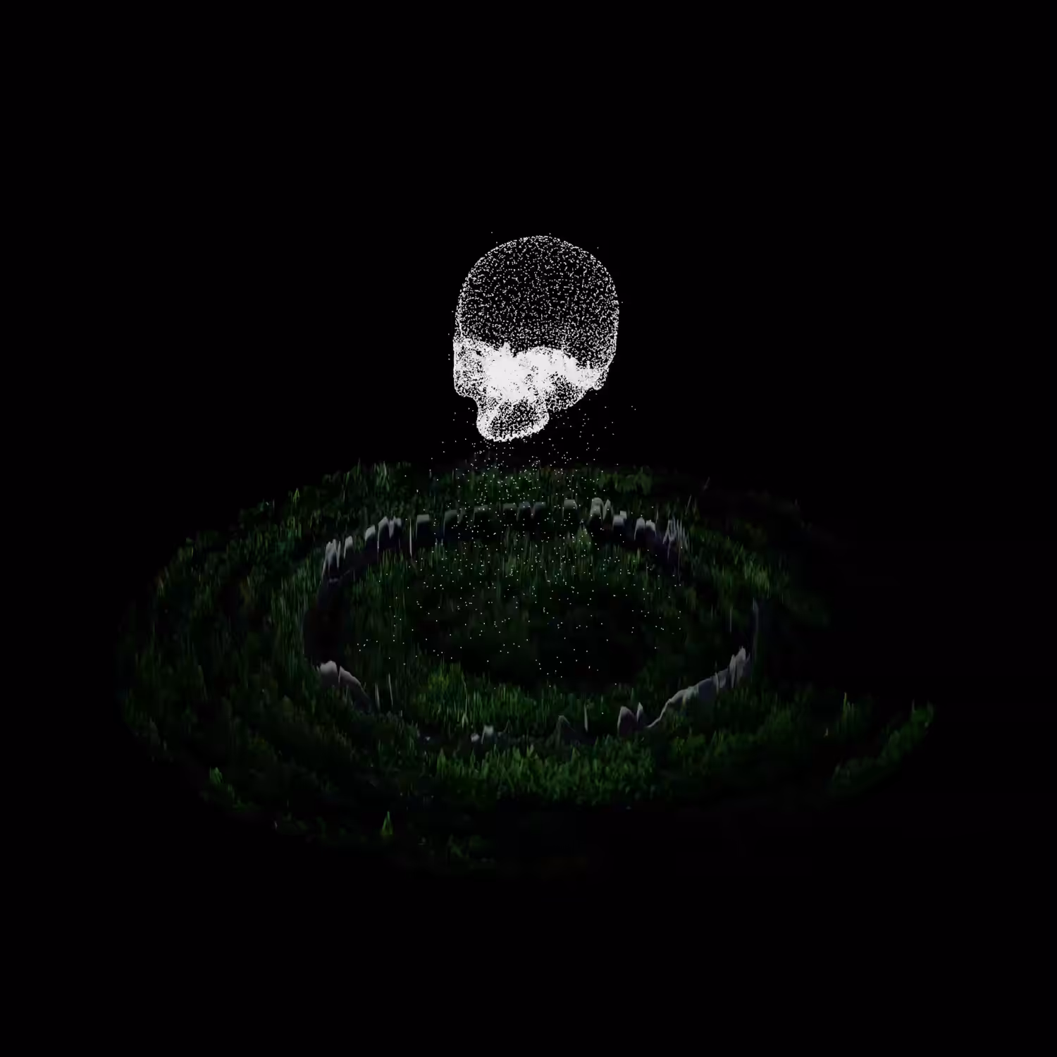 Cemetery Particles