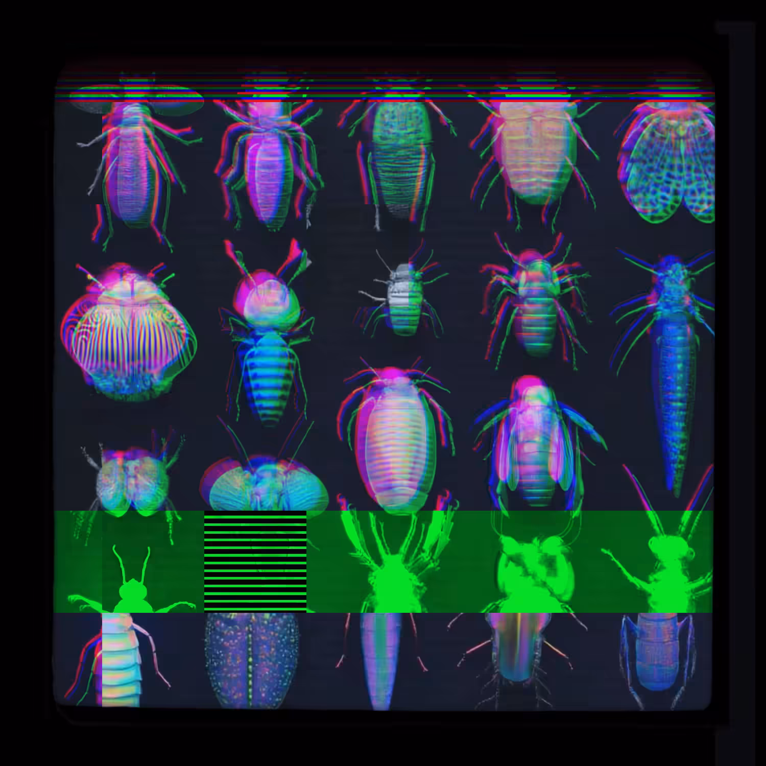 Rodeo posts: specimens 