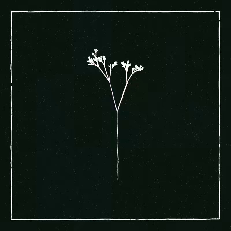 Hand-Drawn Tree #22