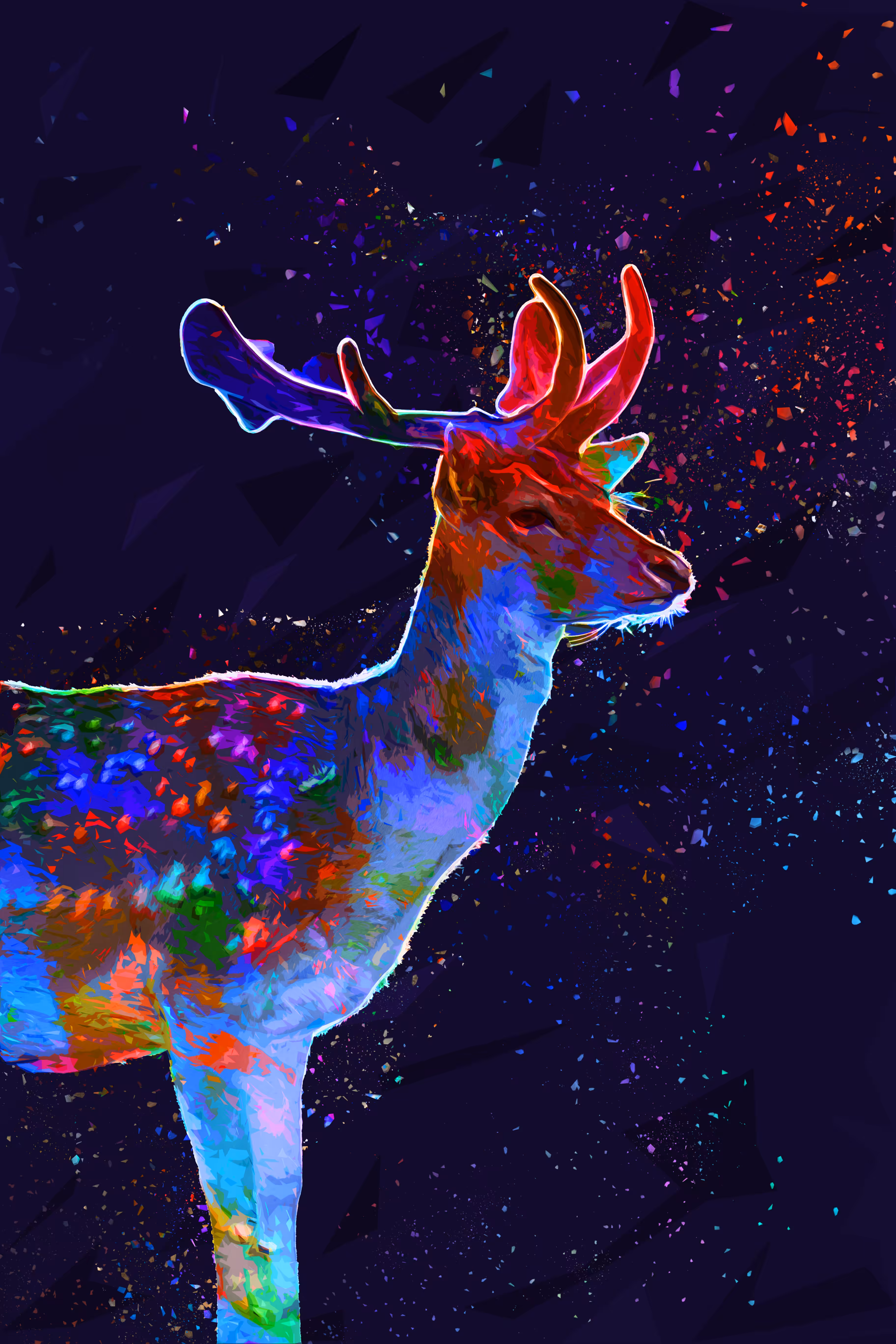 Deer