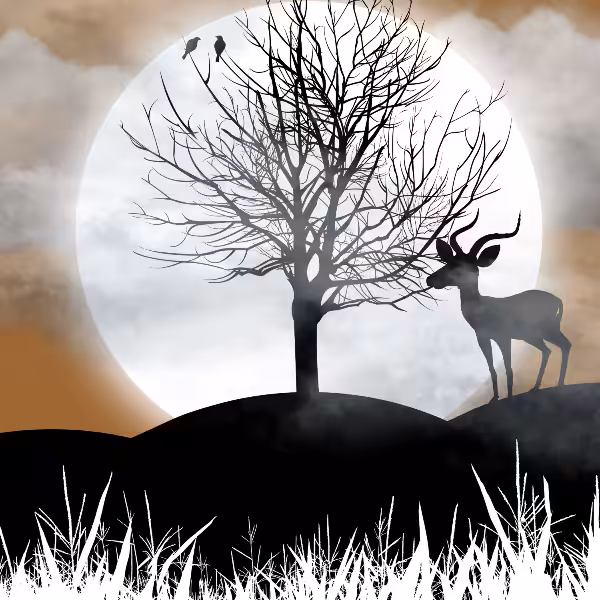 Moon and Life #2