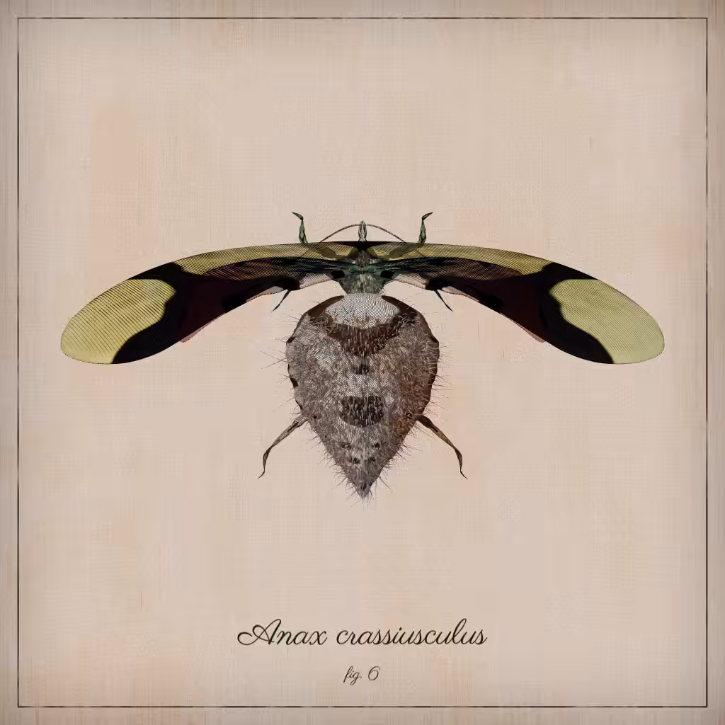 ProcGen Entomology #17