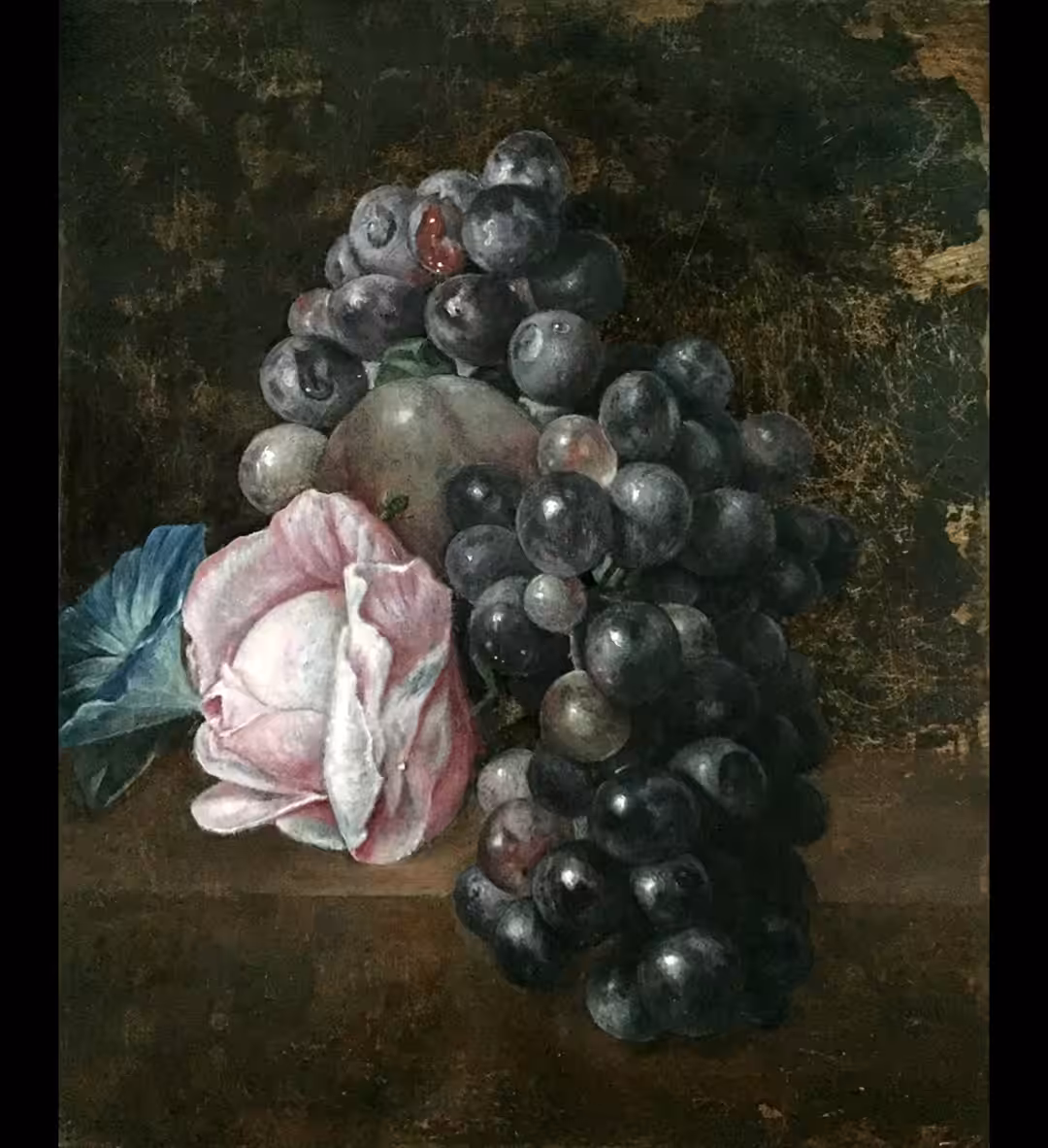 Grapes and Rose: Artist Proof