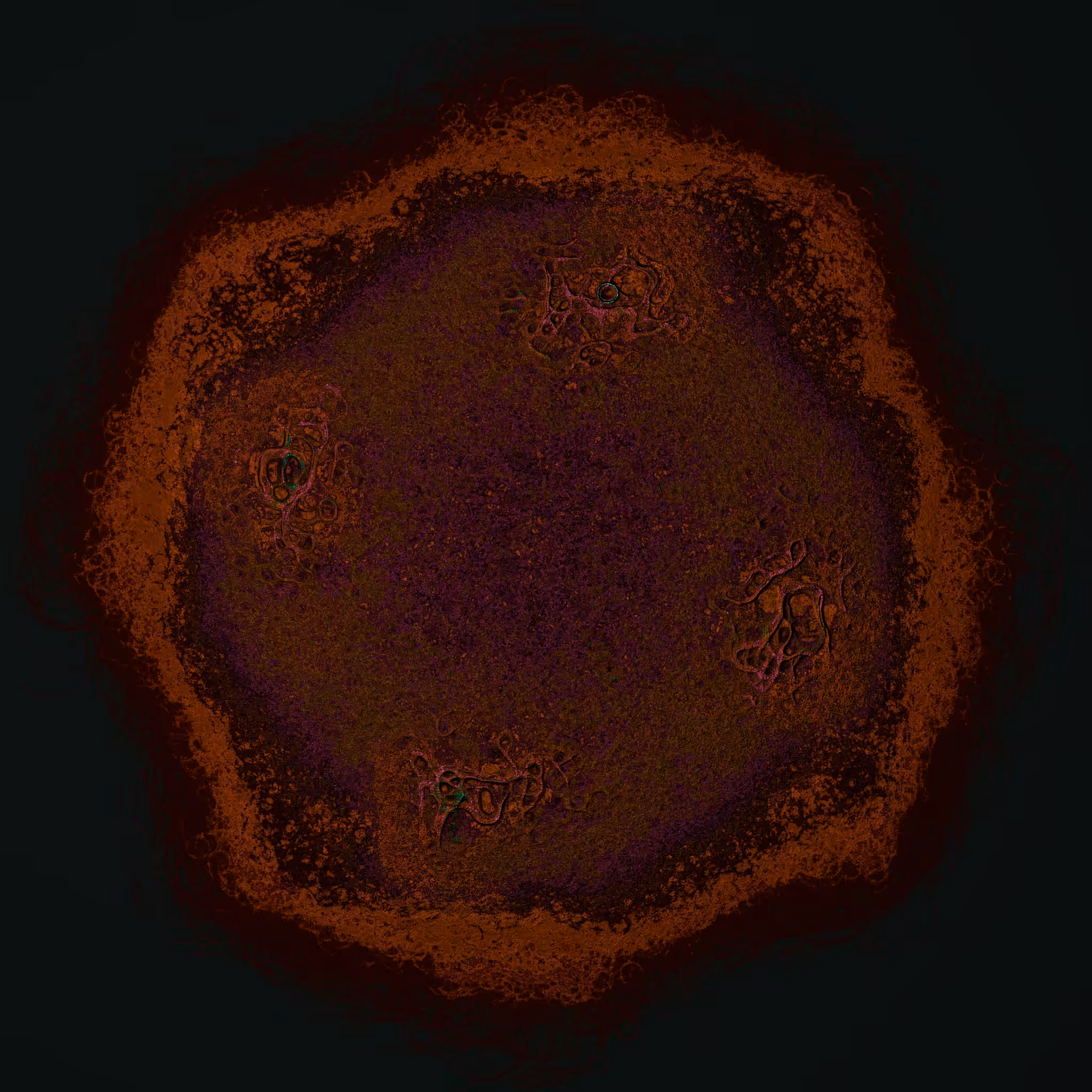 coalescence #110