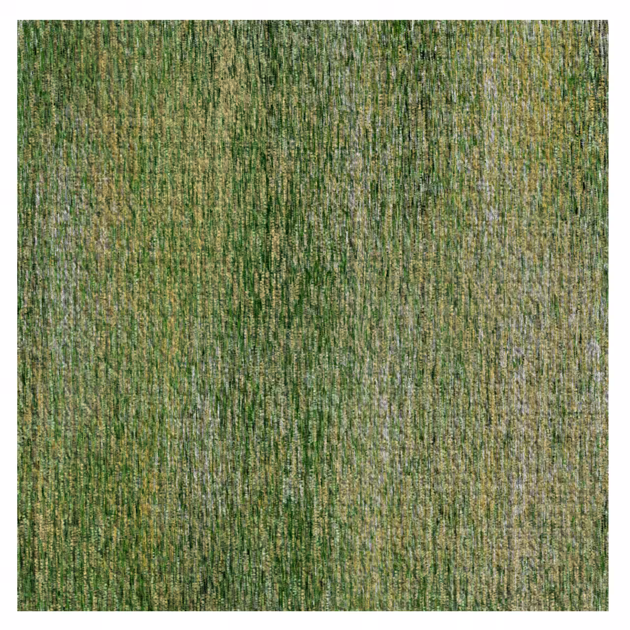 ART#01022024
