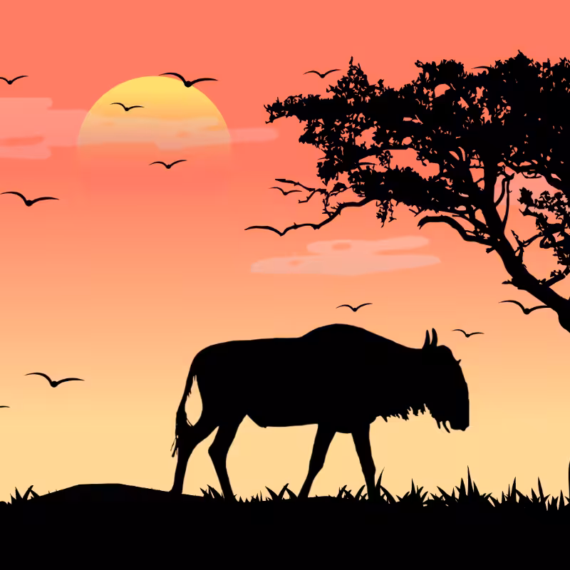 We Care...Wildebeest #2
