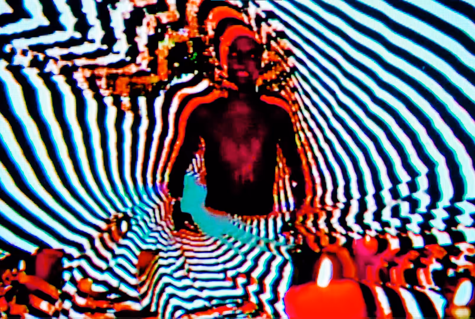 Torso