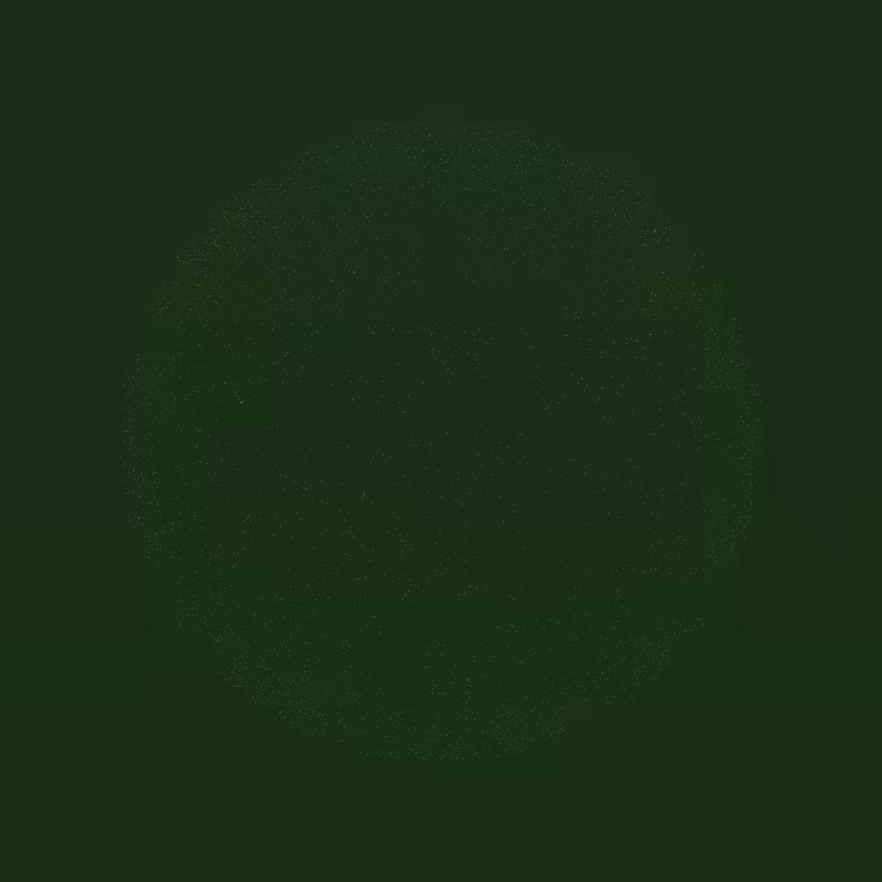 Coalesce #28
