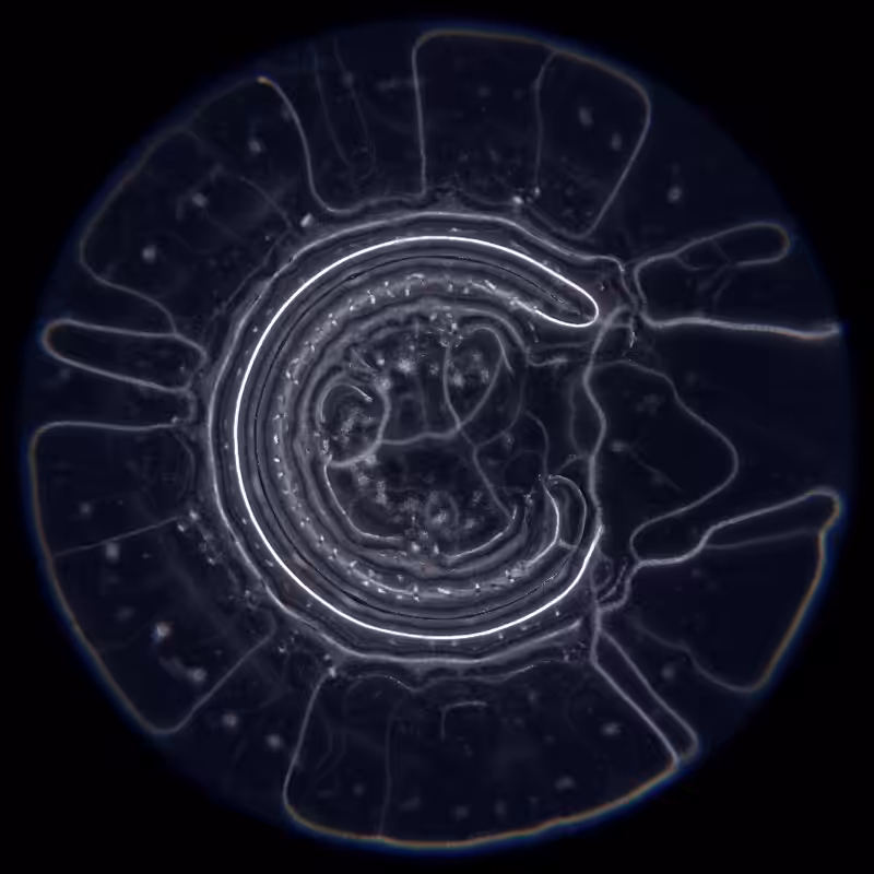 Ethereal Microcosm #14