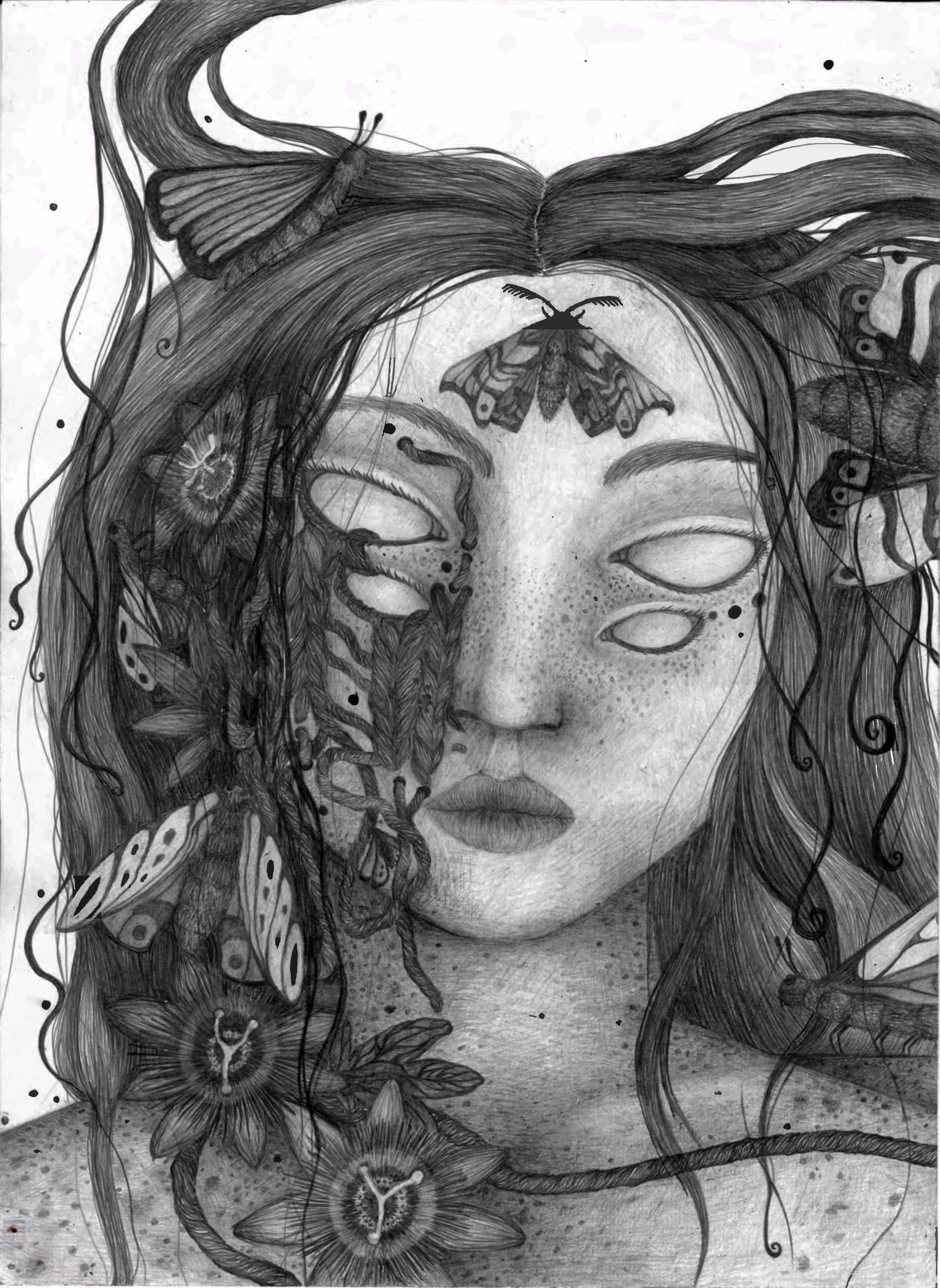 The enchanted forest, piece 1 