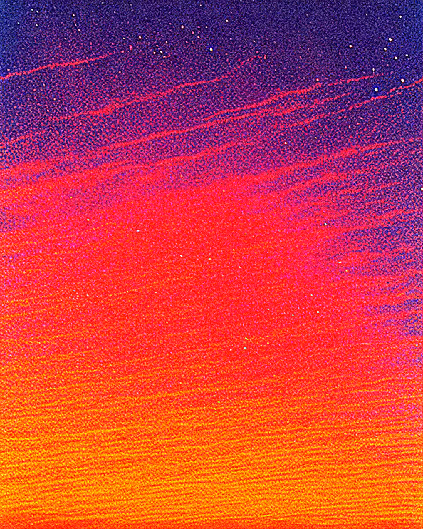 Sailor's Delight