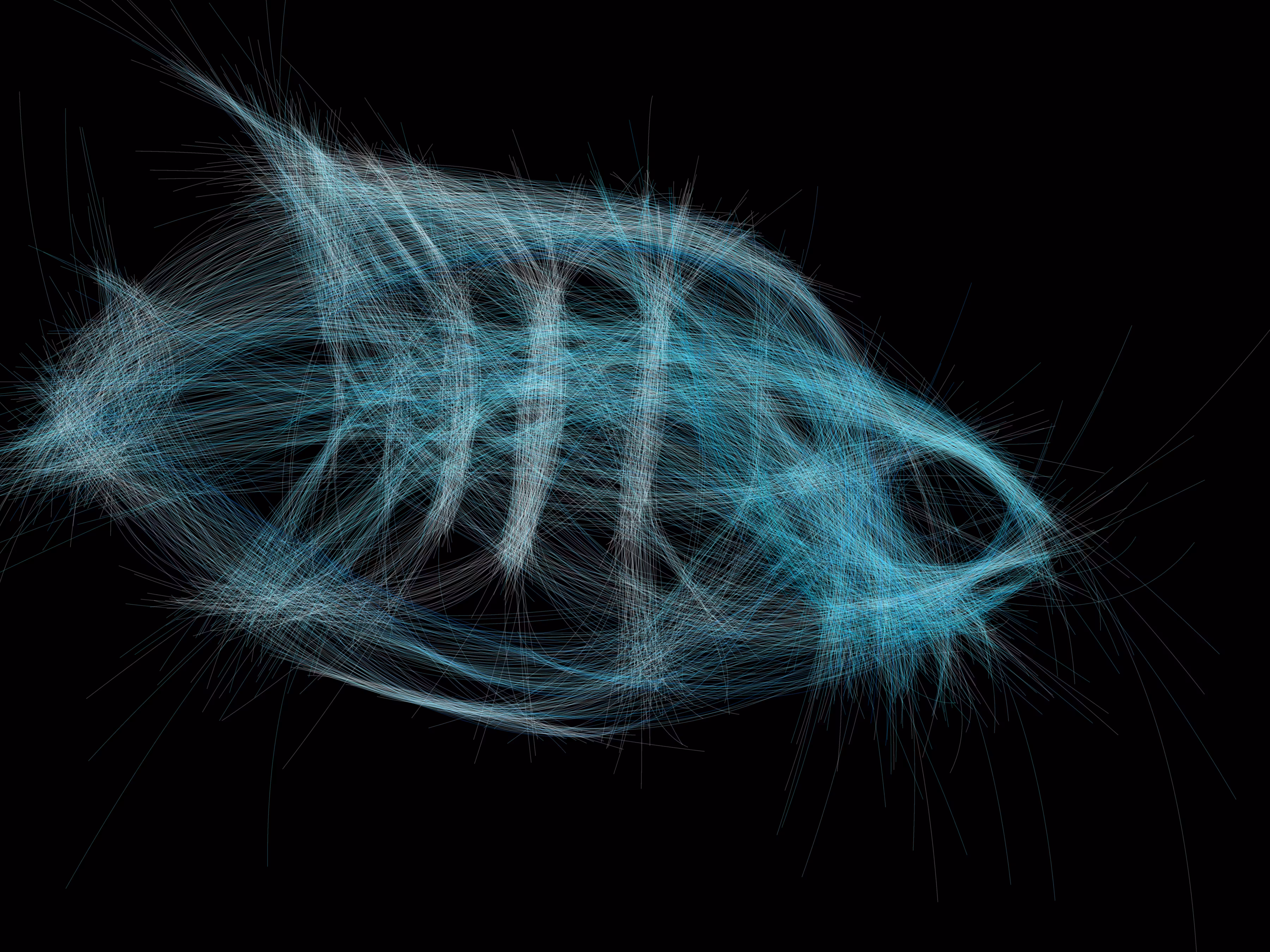 Underwater 202