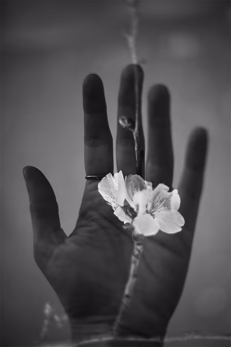 Faith