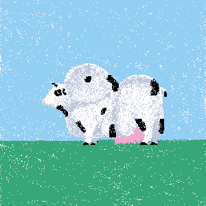 cow #81