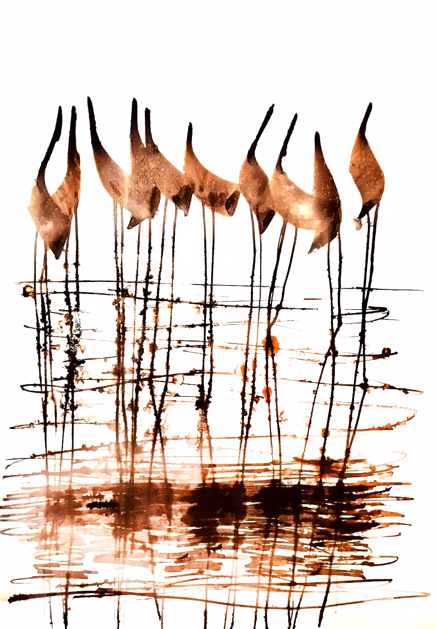 Birds