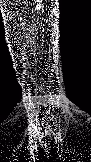 A Breathing Tree