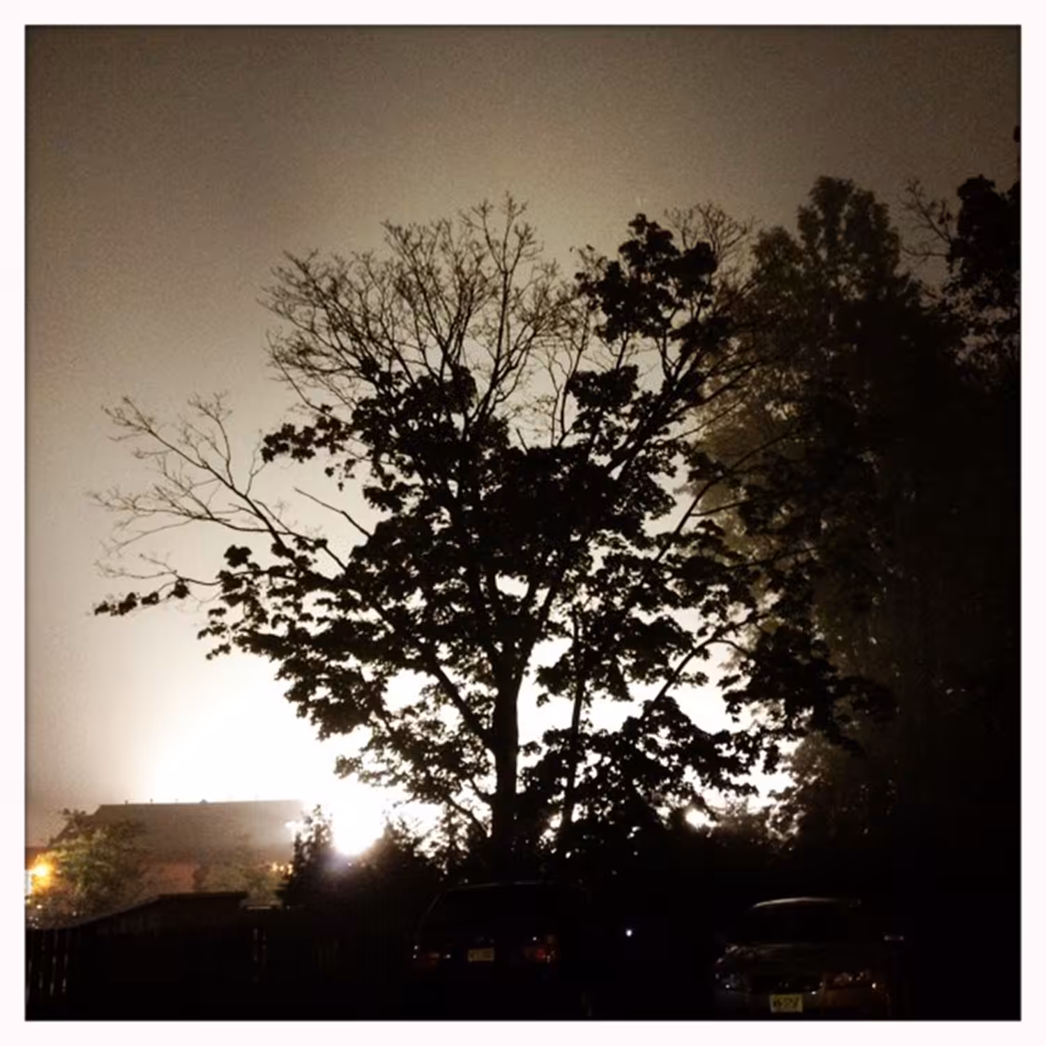 hipsta: IMG_7262