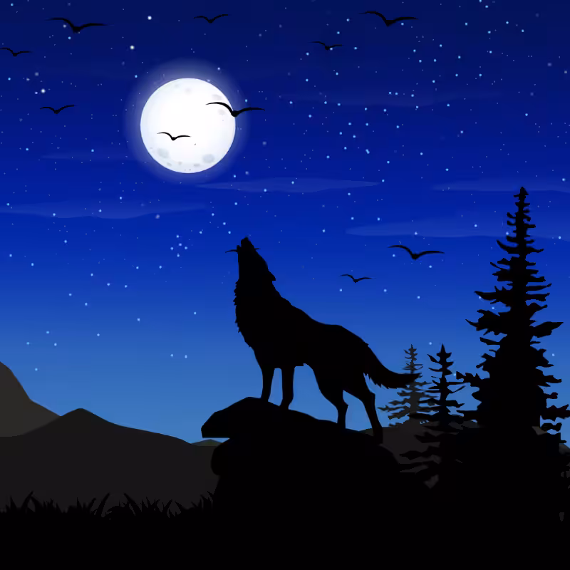 We Care...Wolf #5