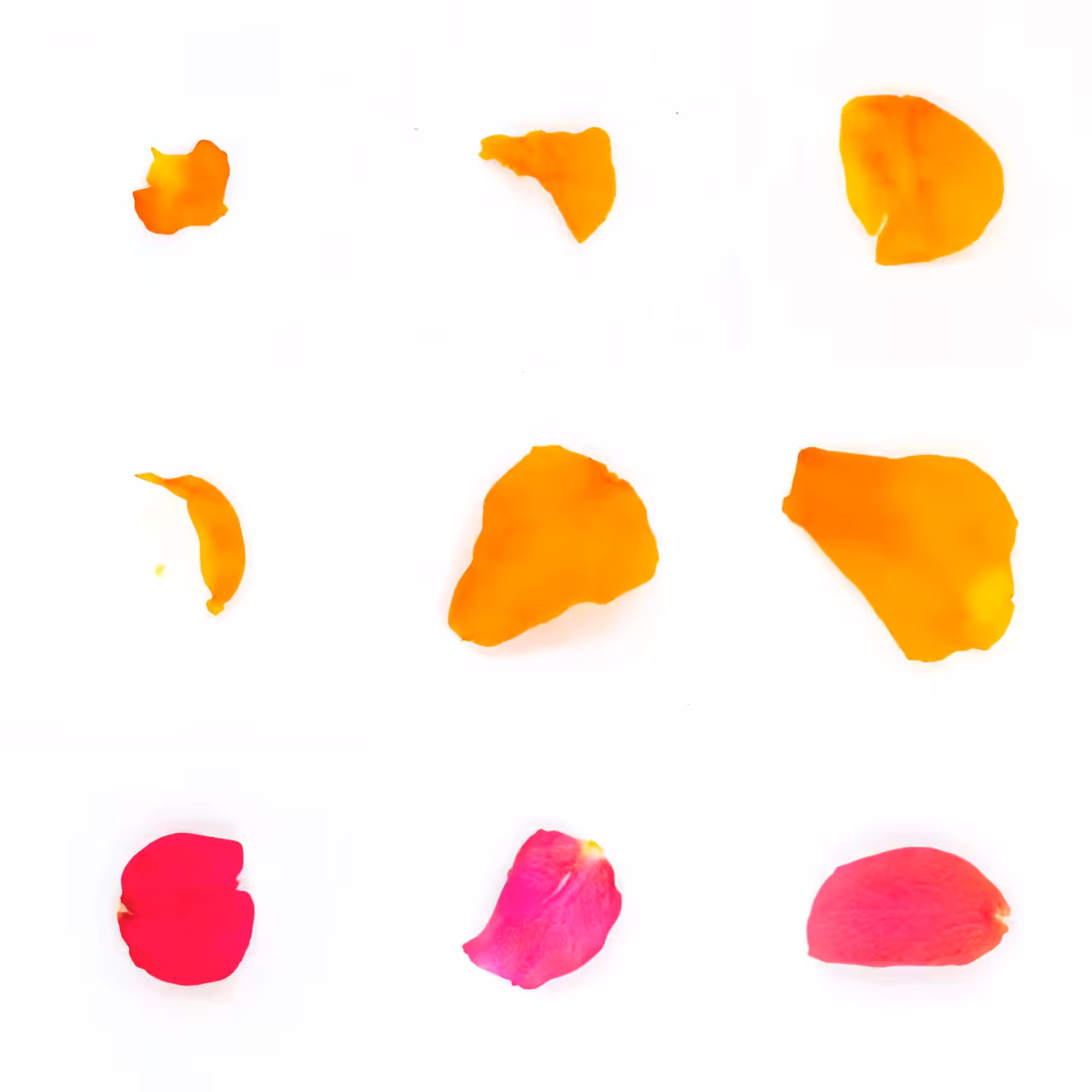Infinite Petals 3x3#1789