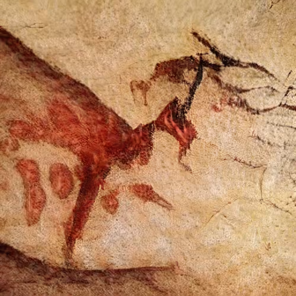 CAVE 018