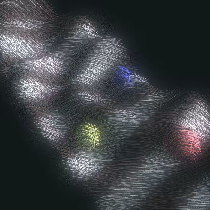 Woolly #51