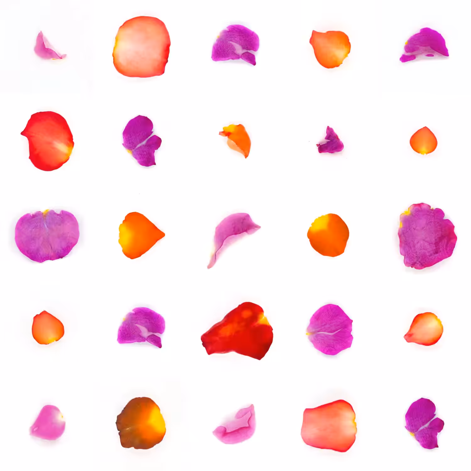 Infinite Petals 5x5#20440
