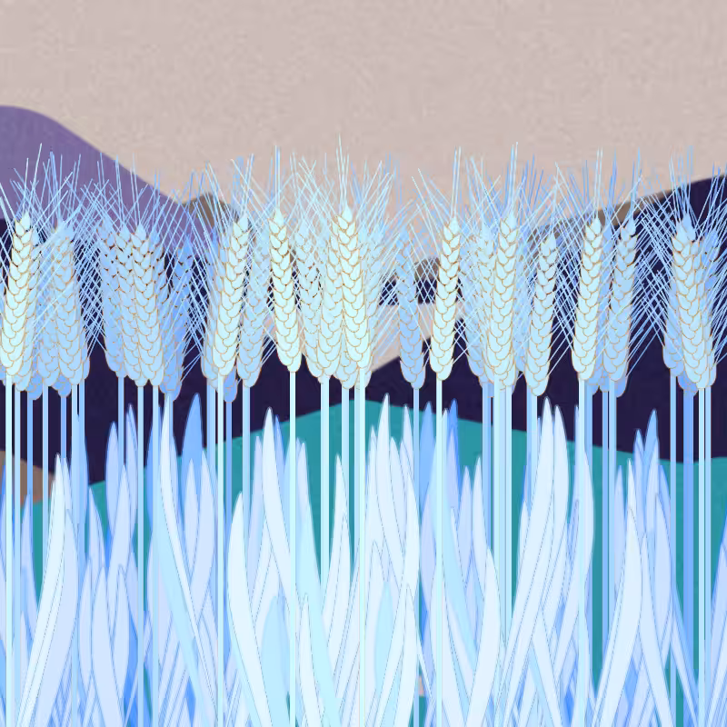 Symbiosis #19