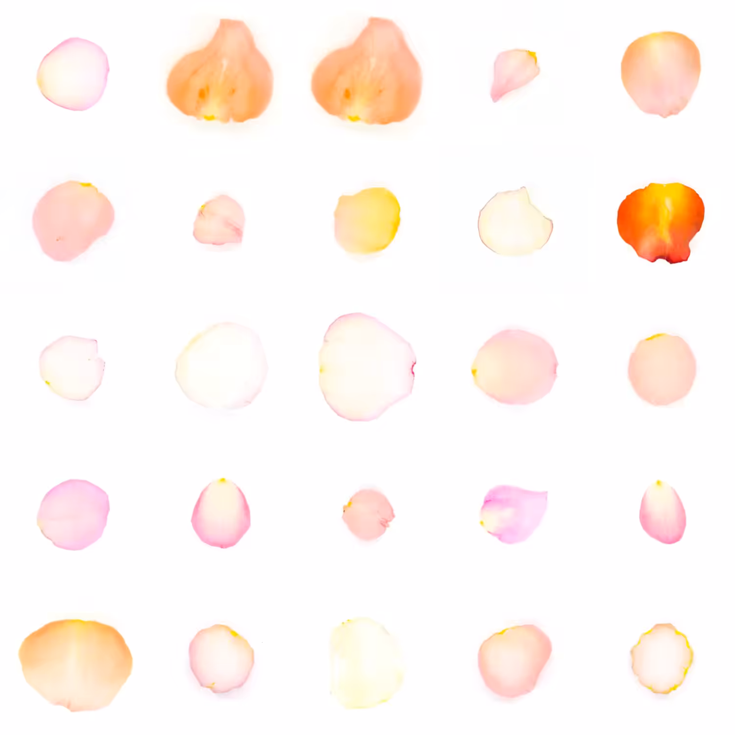 Infinite Petals 5x5#20570