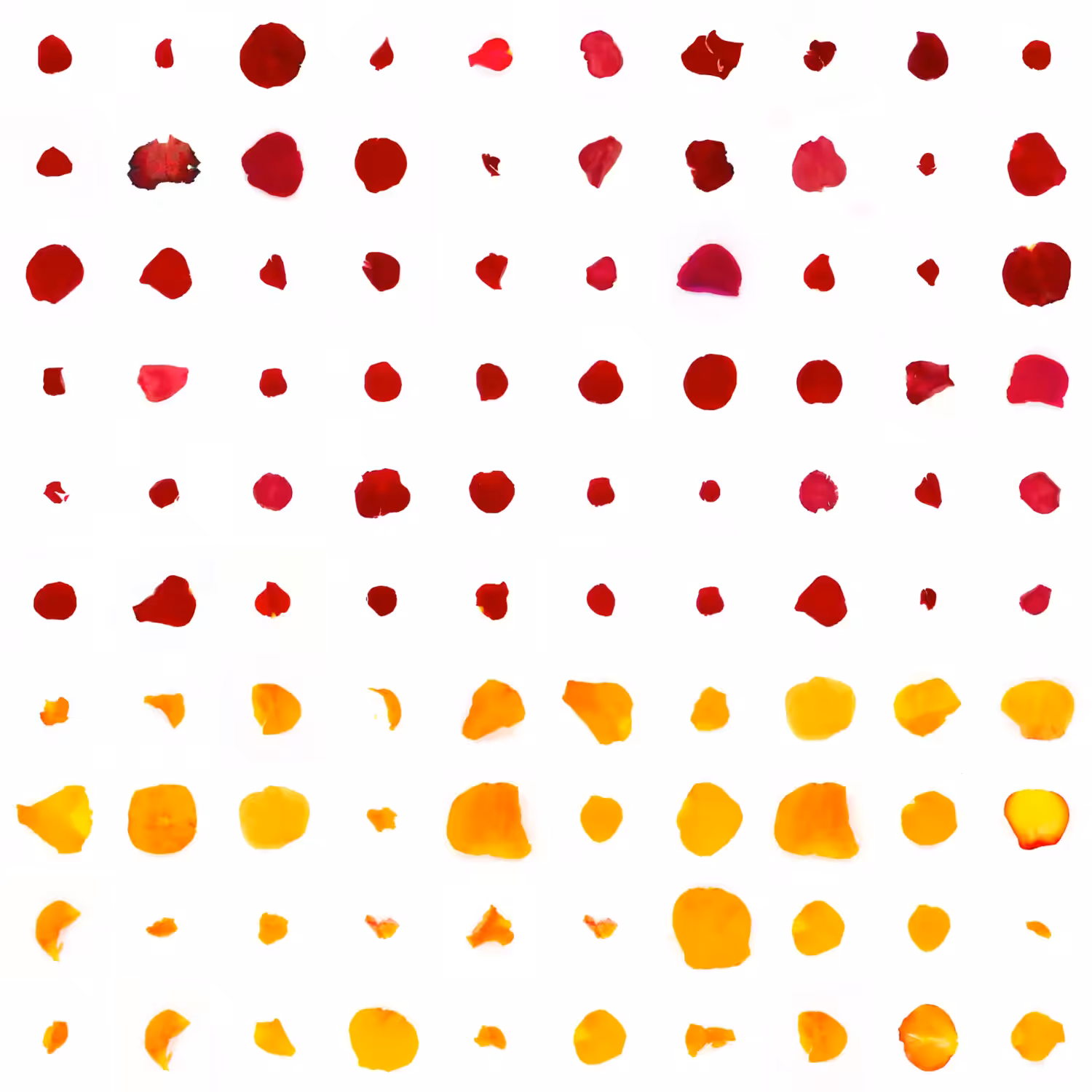 Infinite Petals 10x10#900018