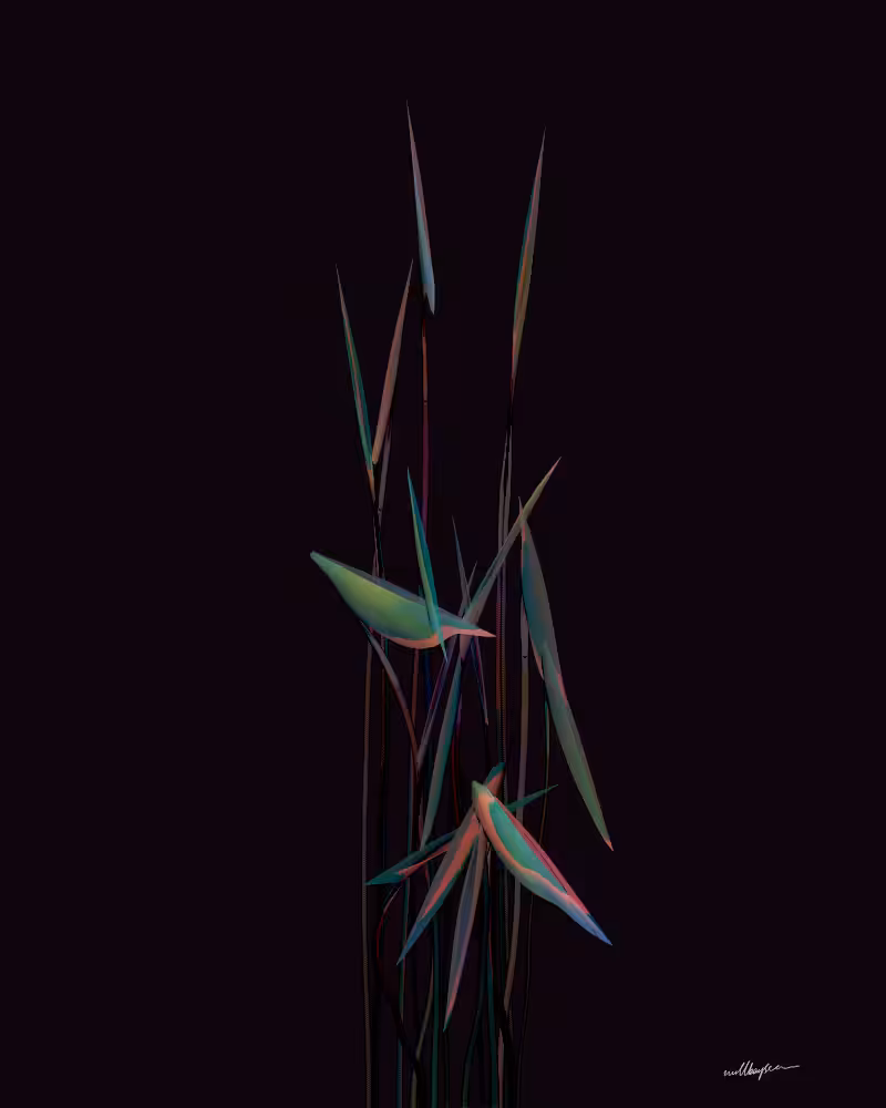 InBloom #168