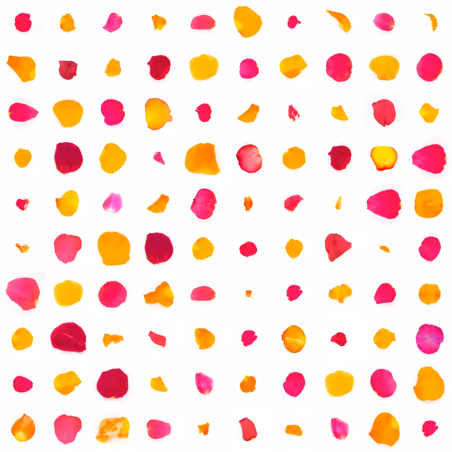 Infinite Petals 10x10#2245