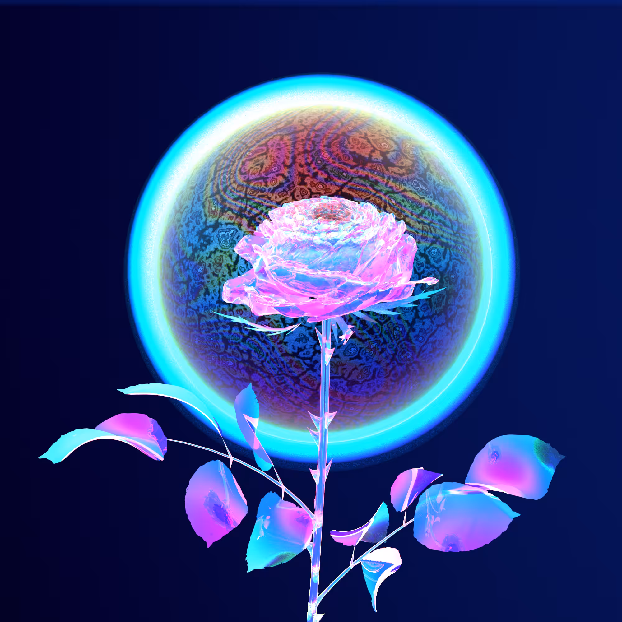 ▂▃▅▇█▓▒░Rose Token░▒▓█▇▅▃▂