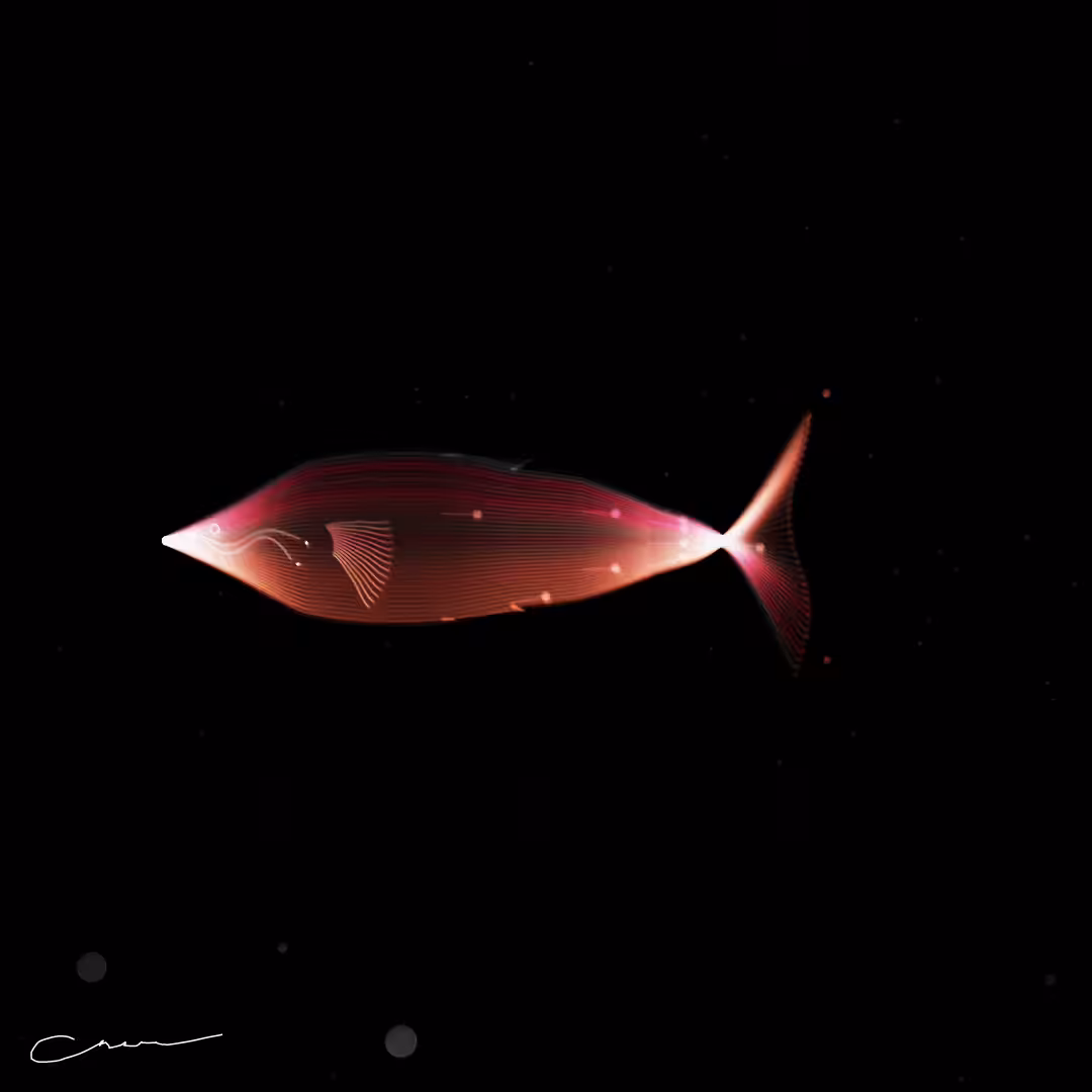 SoulFish #246