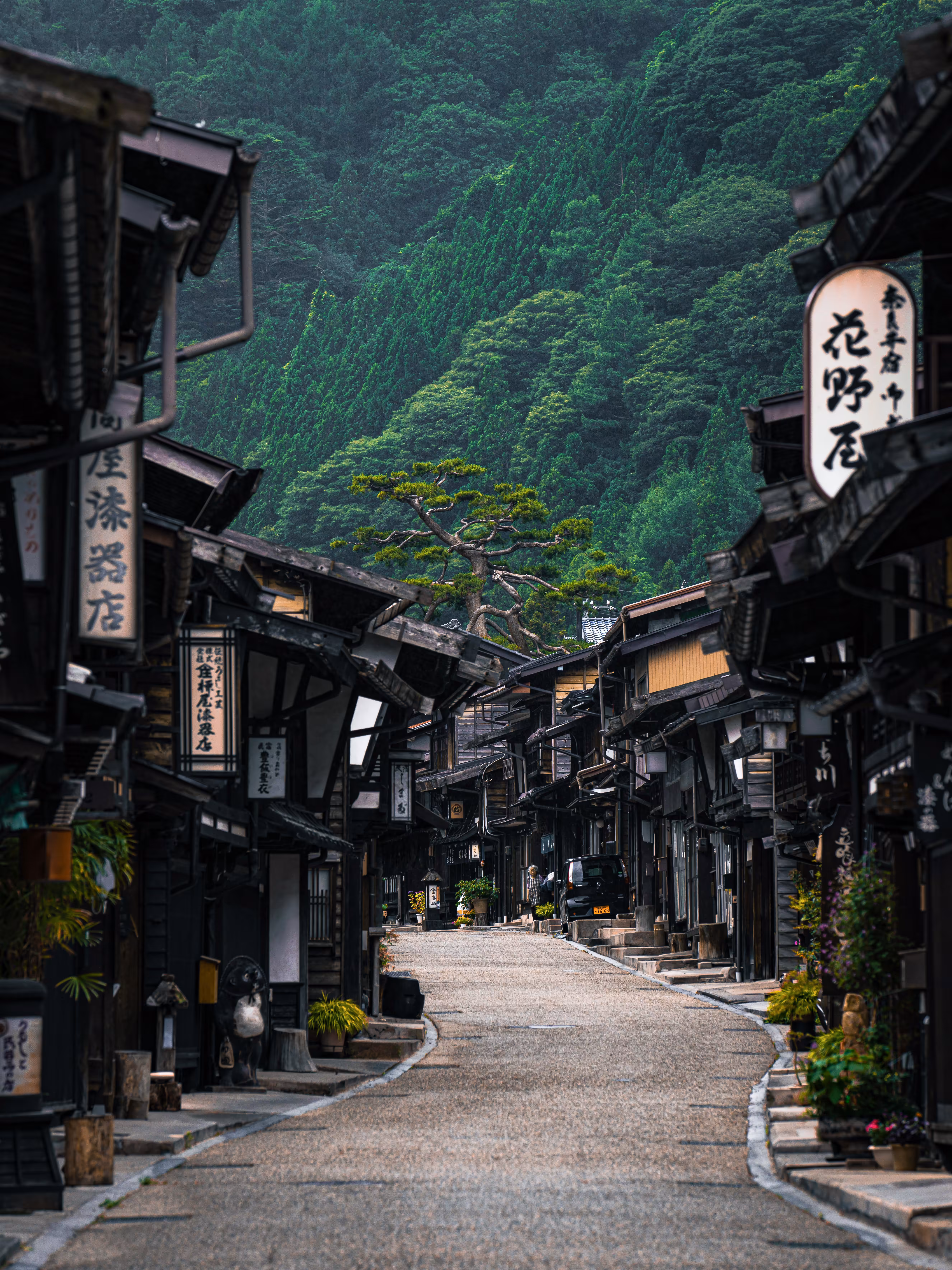 Wander off Into Old Age