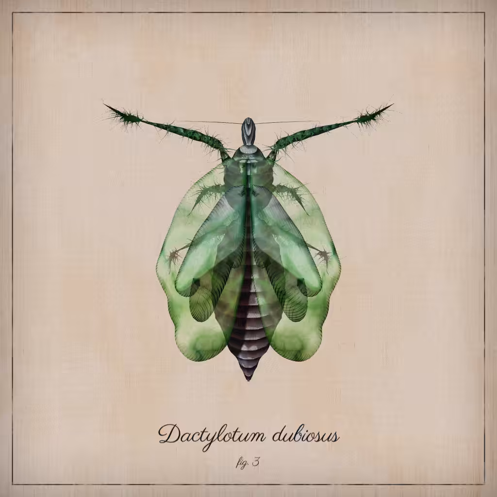 ProcGen Entomology #165