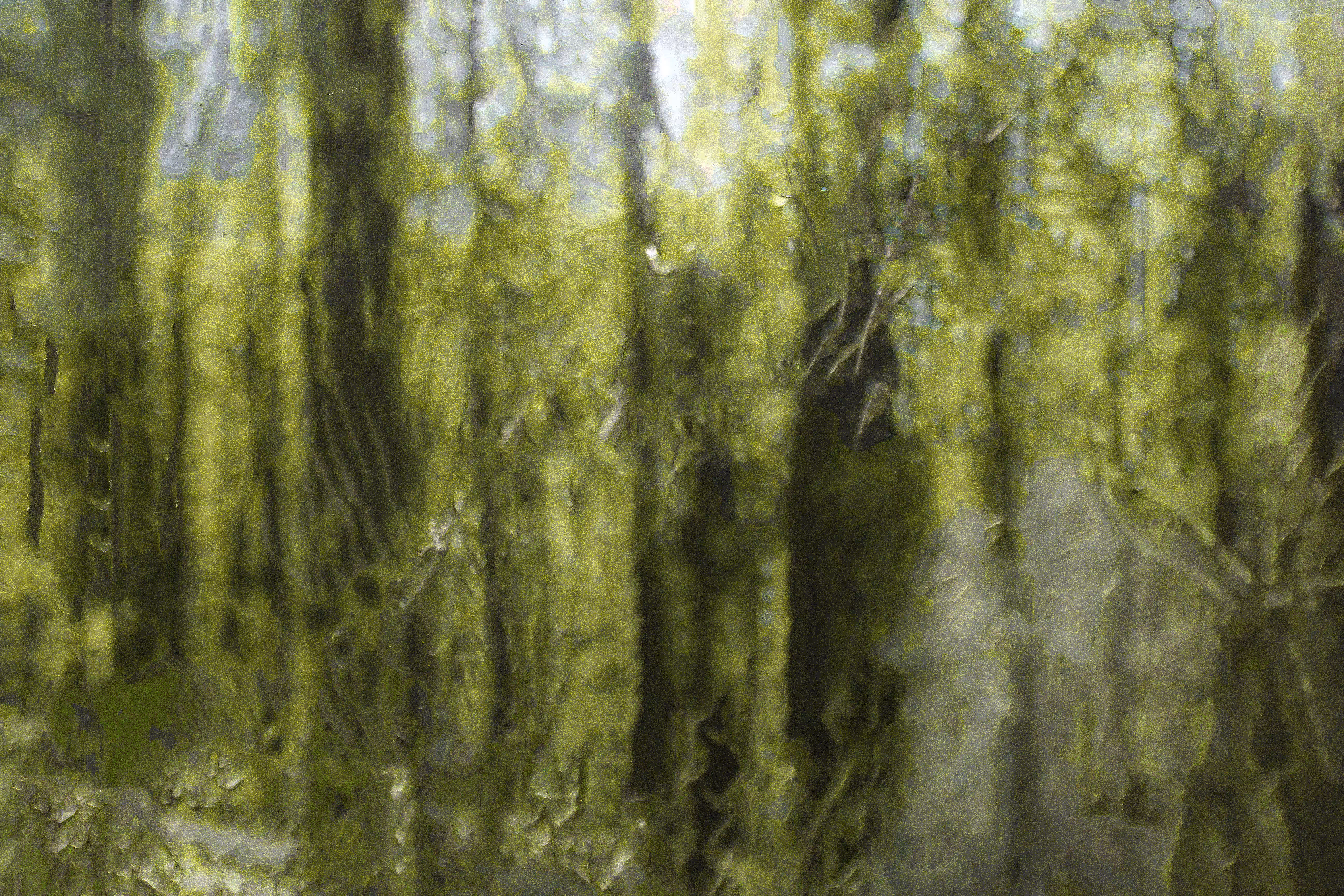 Huon Glow 01