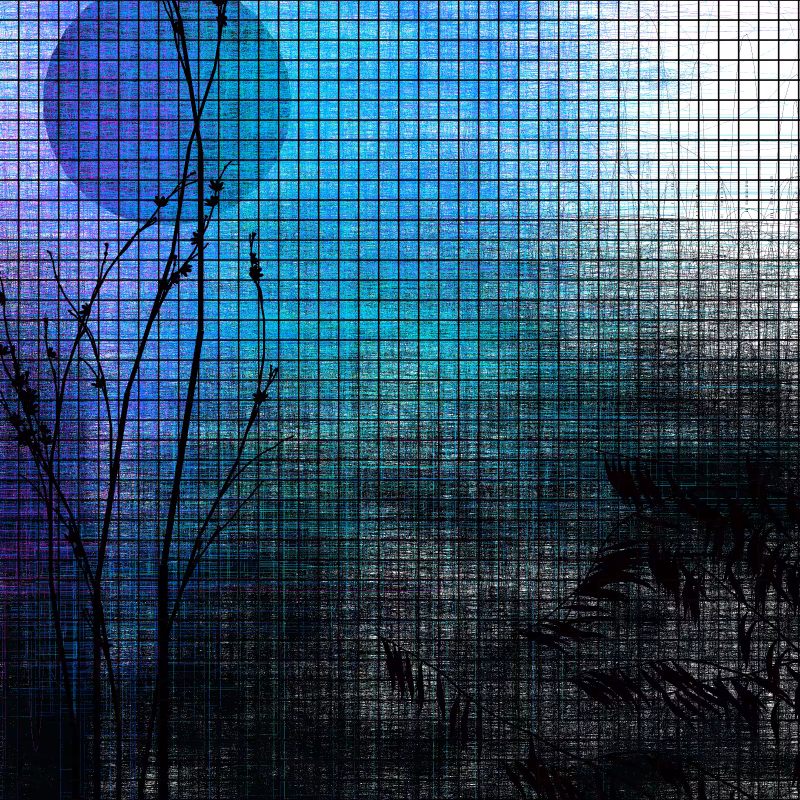 Deep forest #23