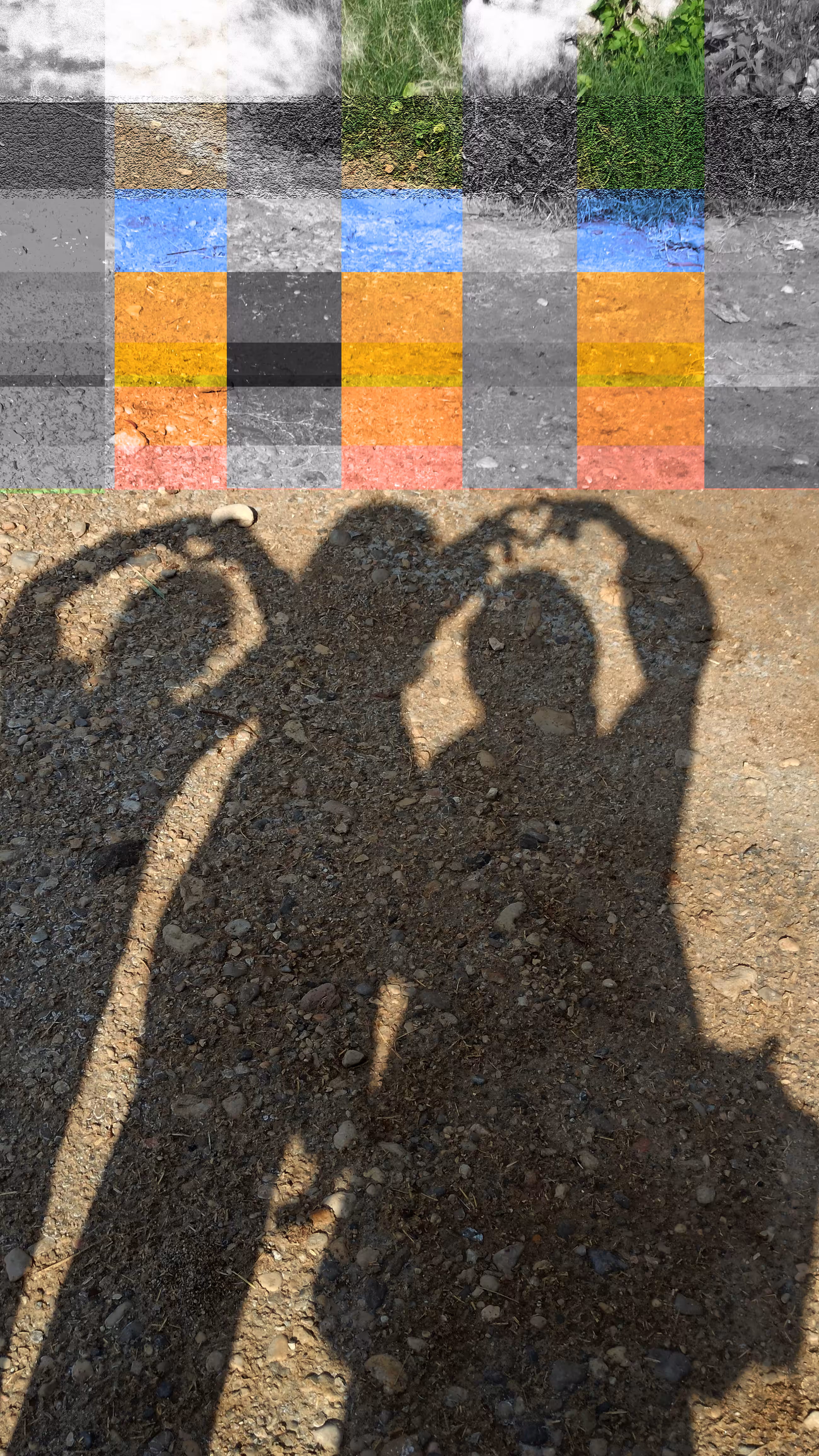 Shadow - Heart  - Valentine