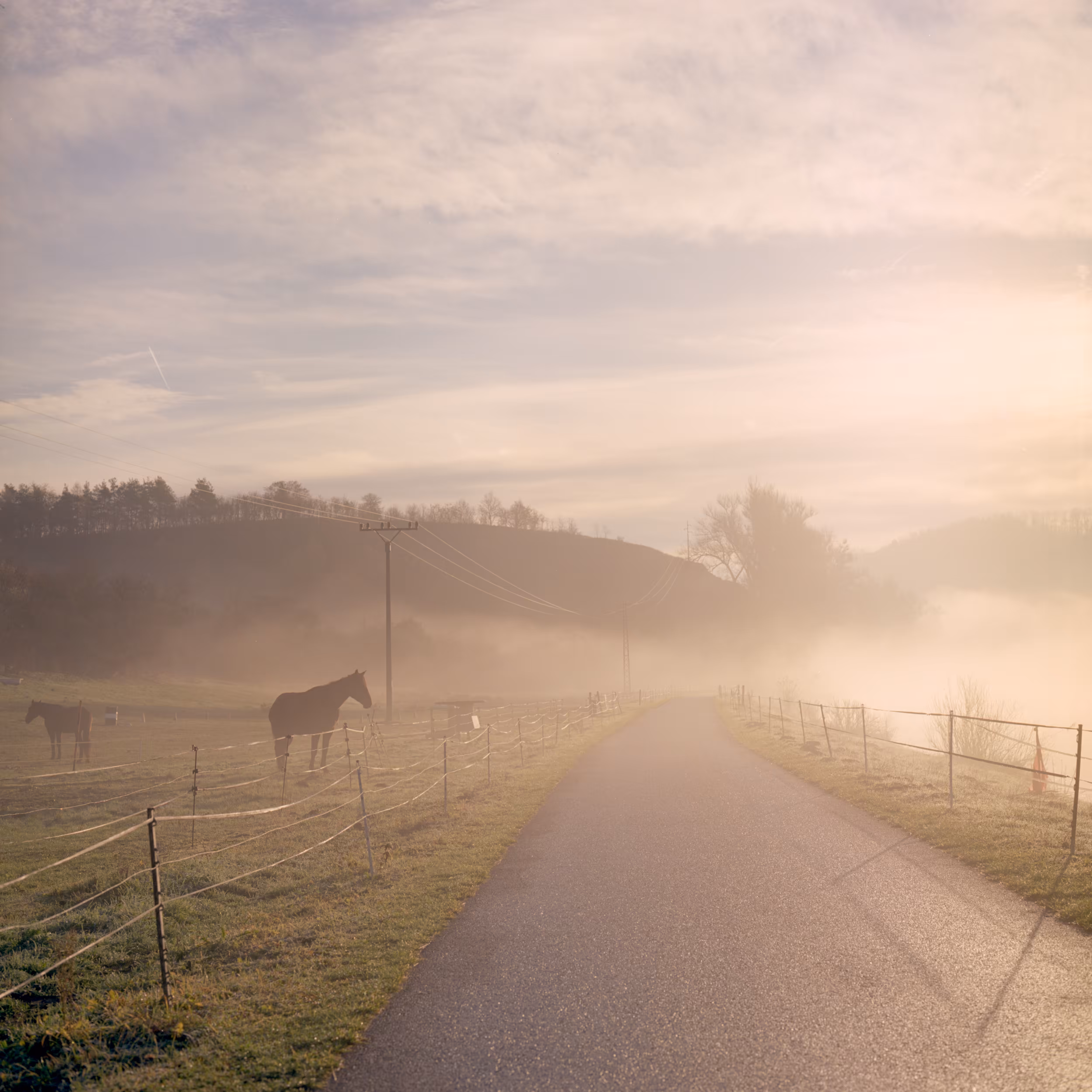 Roads Untraveled #5
