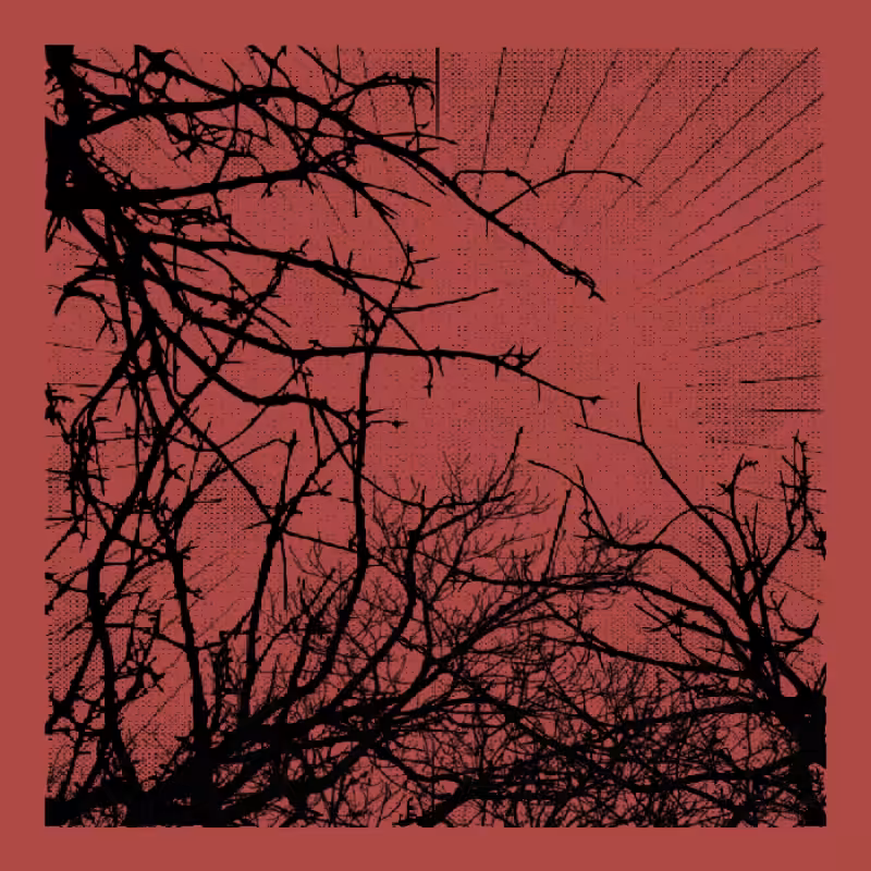 Forest of Shadows HD