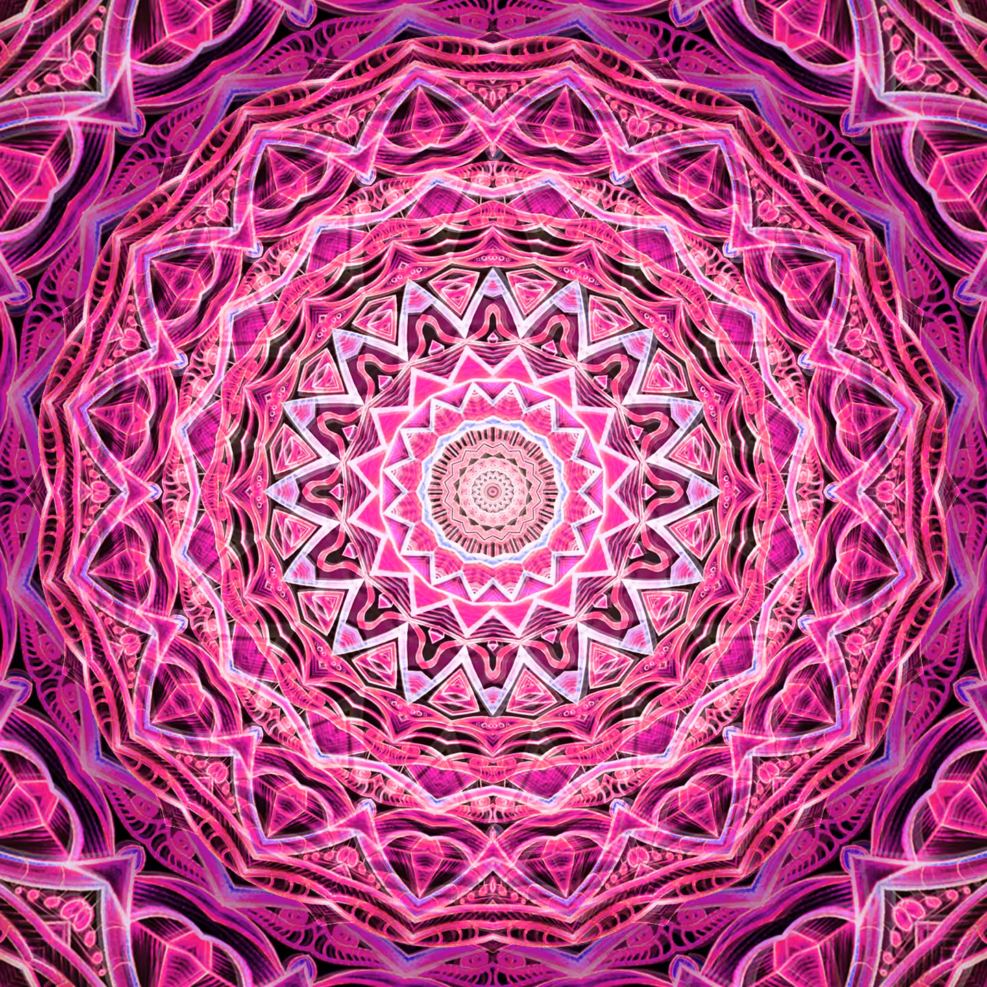 The Portal (1/1)