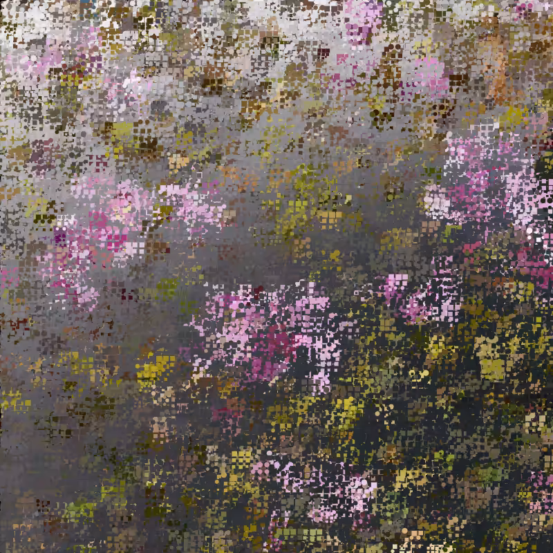 Water Garden 11