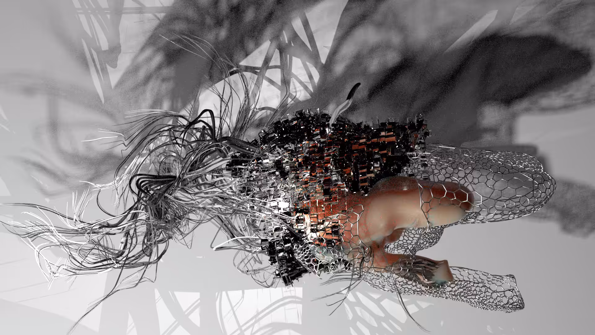 insects/6